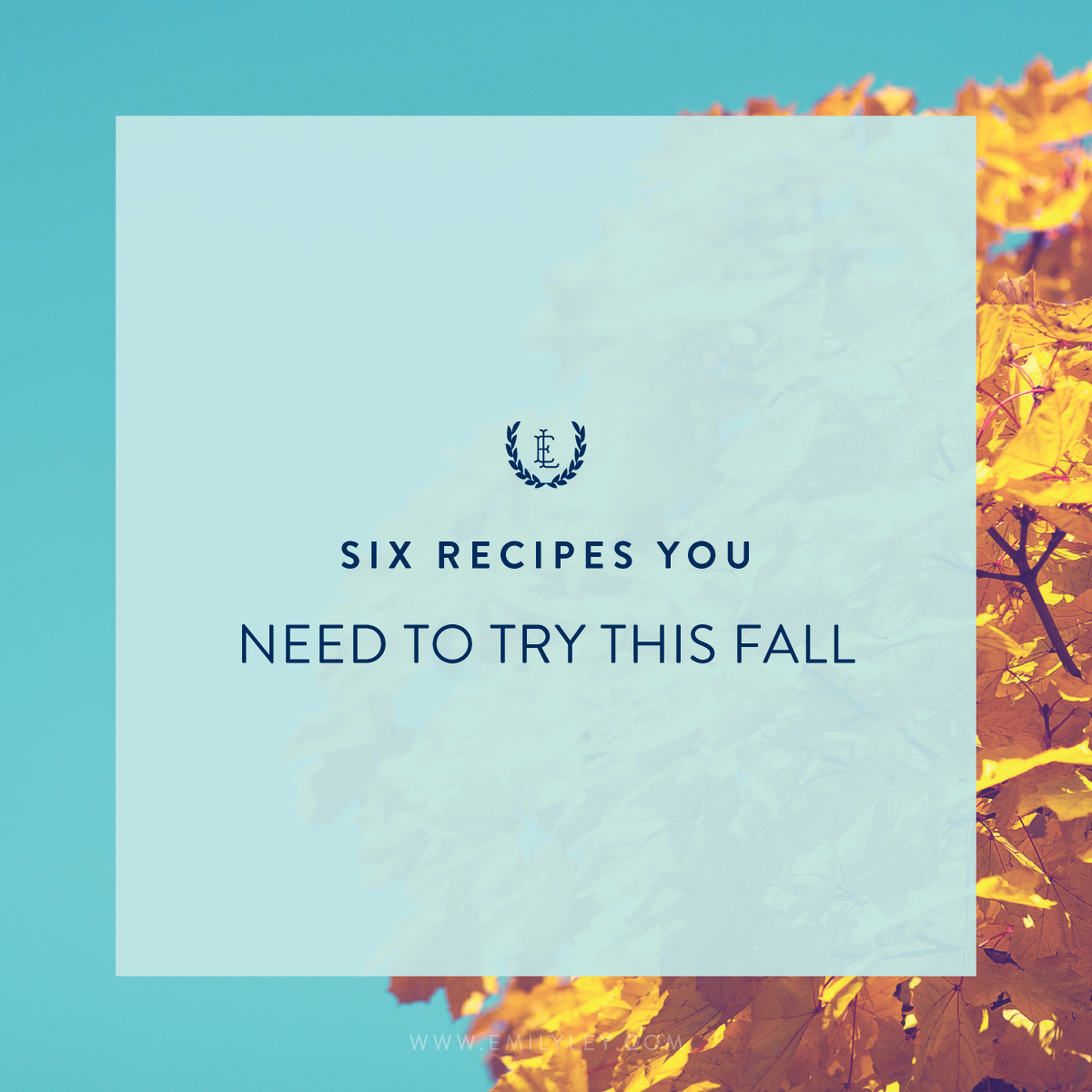 Fall-Recipes